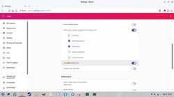 settings brave